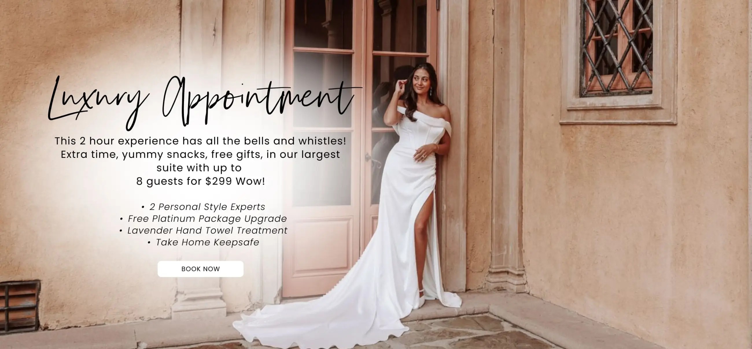 Luxury Appointment Desktop Banner