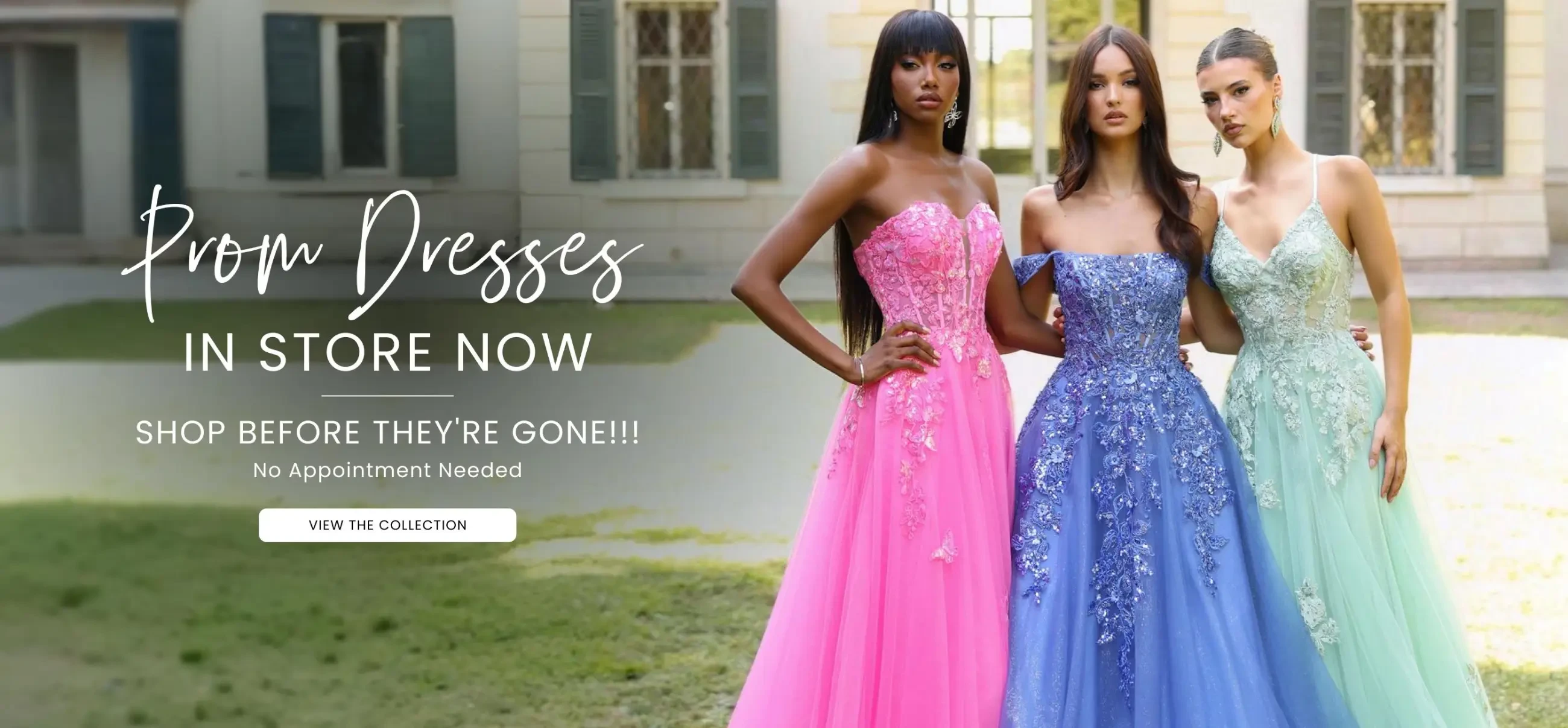 Prom Dresses Desktop Banner