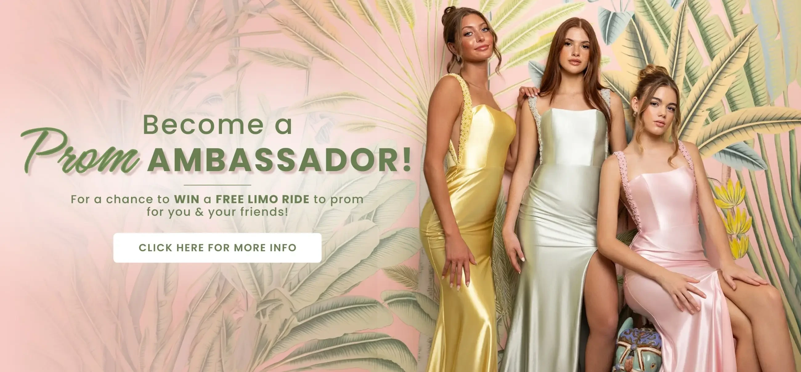 Prom Ambassador Desktop Banner